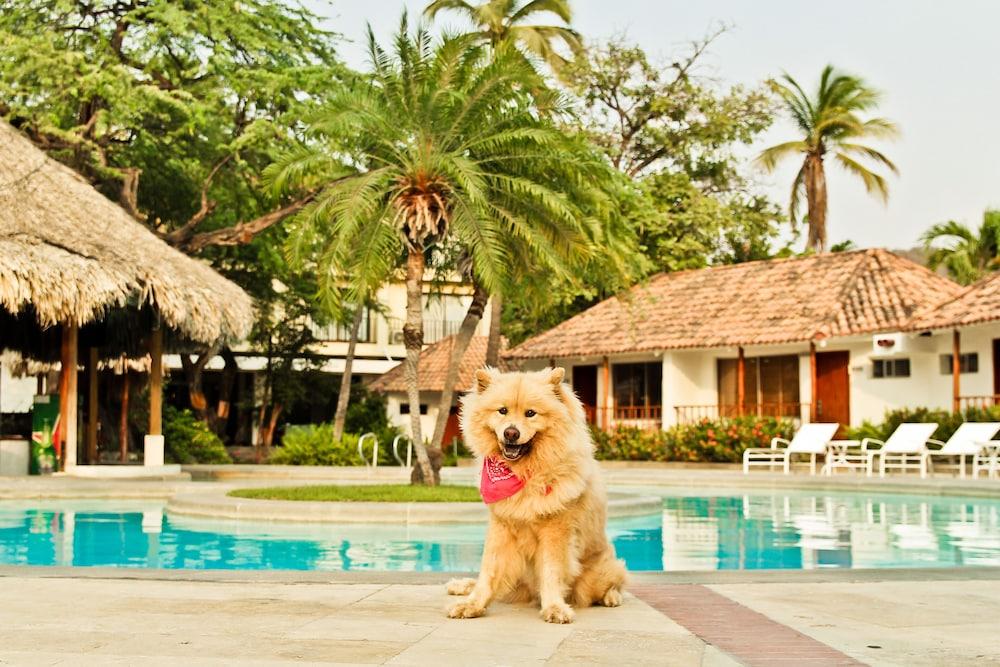 Estelar Santamar Hotel & Centro De Convenciones Santa Marta  Eksteriør billede